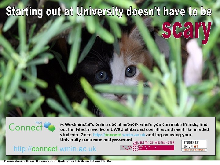 is Westminster’s online social network where you can make friends, find out the latest