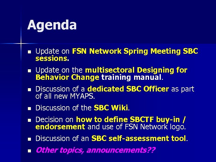 Agenda n Update on FSN Network Spring Meeting SBC sessions. n Update on the