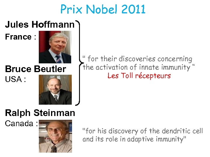 Prix Nobel 2011 Jules Hoffmann France : Bruce Beutler USA : 