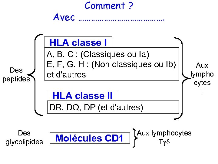 Comment ? Avec …………………. HLA classe I Des peptides A, B, C : (Classiques