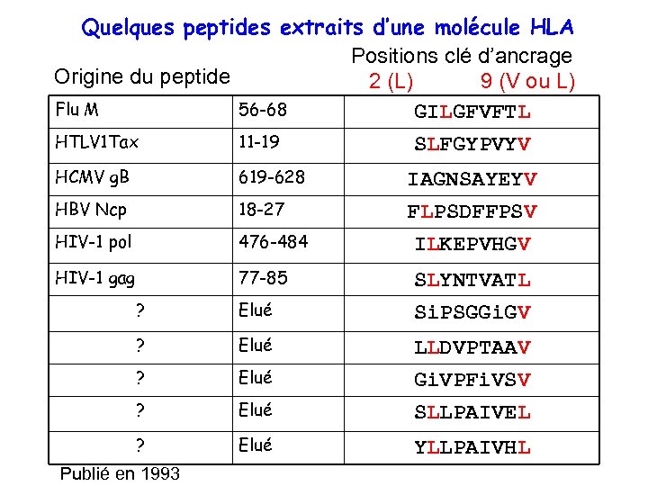 Quelques peptides extraits d’une molécule HLA Positions clé d’ancrage Origine du peptide 2 (L)