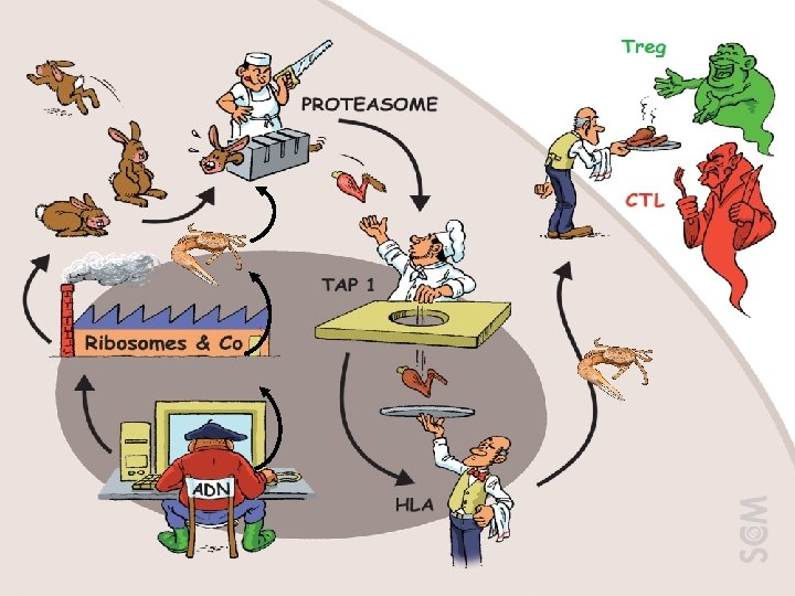 M. Abbal P 2 2010 -11 M. Abbal P 2 2007 -8 38 