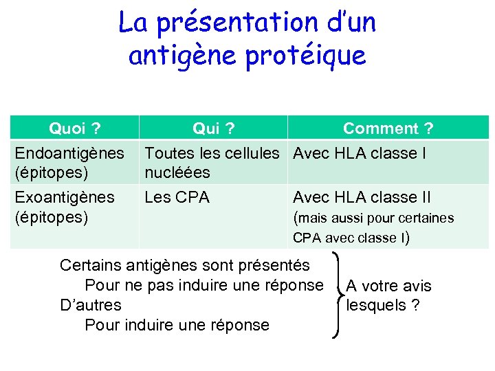 La présentation d’un antigène protéique Quoi ? Endoantigènes (épitopes) Exoantigènes (épitopes) Qui ? Comment
