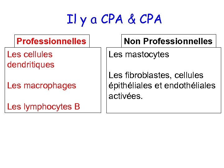 Il y a CPA & CPA Professionnelles Les cellules dendritiques Les macrophages Les lymphocytes