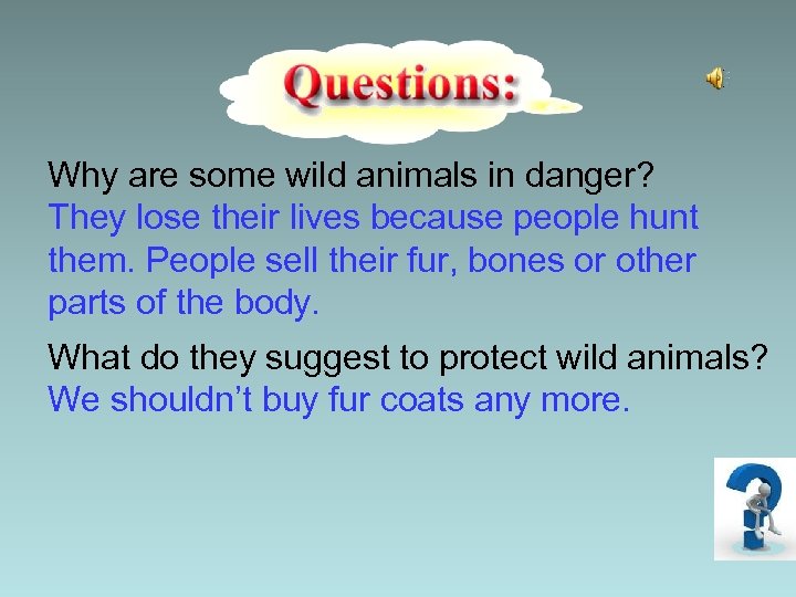Why are some wild animals in danger? They lose their lives because people hunt