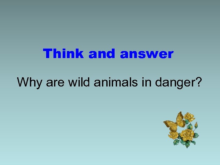 Think and answer Why are wild animals in danger? 