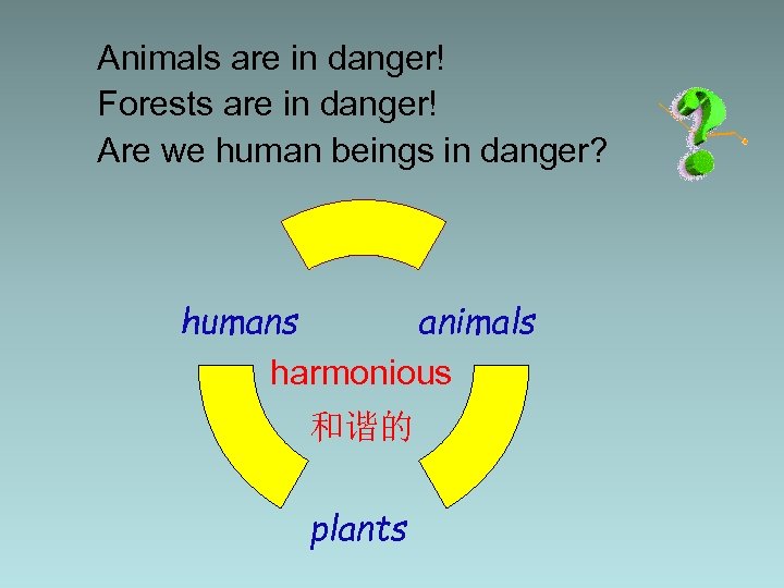 Animals are in danger! Forests are in danger! Are we human beings in danger?