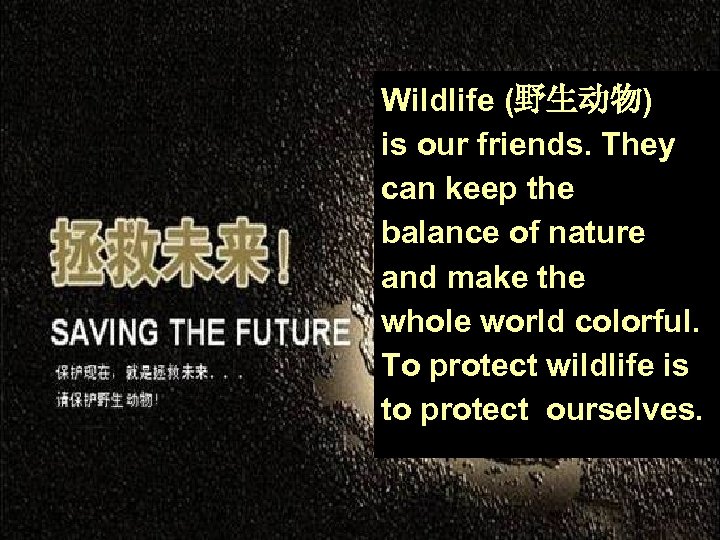 Wildlife (野生动物) is our friends. They can keep the balance of nature and make