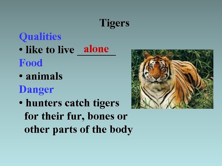Tigers Qualities alone • like to live _______ Food • animals Danger • hunters