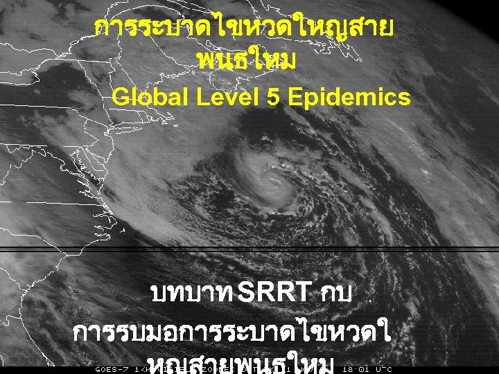 การระบาดไขหวดใหญสาย พนธใหม Global Level 5 Epidemics บทบาท SRRT กบ การรบมอการระบาดไขหวดใ 