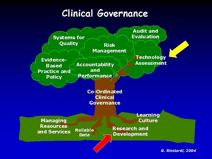 Clinical Governance Audit and Evaluation Systems for Quality Evidence. Based Practice and Policy Risk