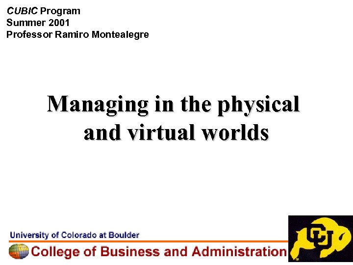 CUBIC Program Summer 2001 Professor Ramiro Montealegre Managing in the physical and virtual worlds