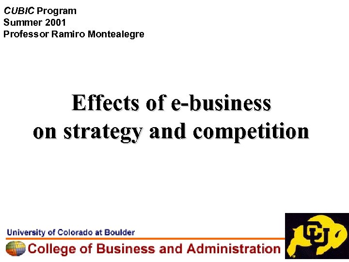 CUBIC Program Summer 2001 Professor Ramiro Montealegre Effects of e-business on strategy and competition