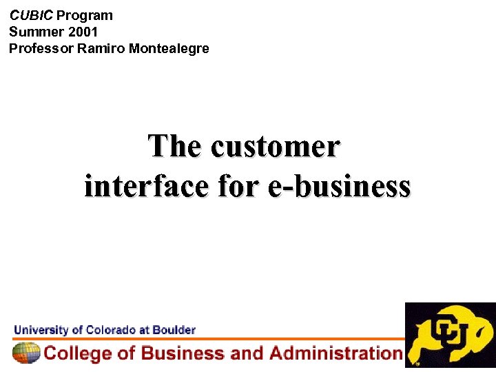 CUBIC Program Summer 2001 Professor Ramiro Montealegre The customer interface for e-business 