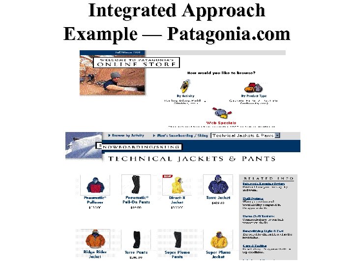 Integrated Approach Example — Patagonia. com 