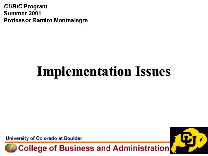 CUBIC Program Summer 2001 Professor Ramiro Montealegre Implementation Issues 