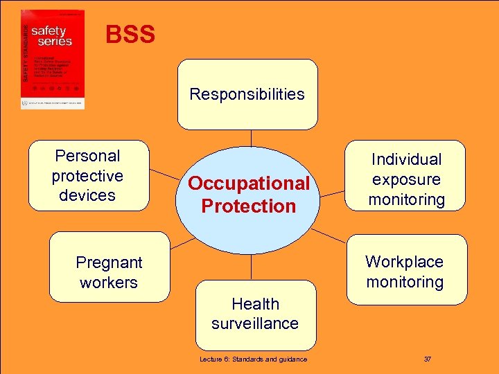 BSS Responsibilities Personal protective devices Occupational Protection Individual exposure monitoring Workplace monitoring Pregnant workers