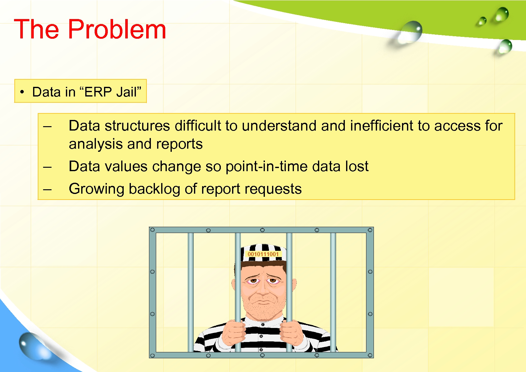 The Problem • Data in “ERP Jail” – – – Data structures difficult to