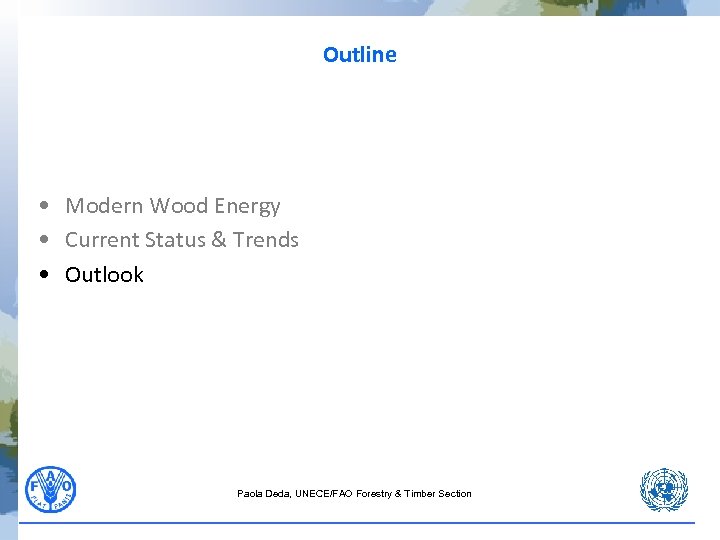 Outline • Modern Wood Energy • Current Status & Trends • Outlook Paola Deda,