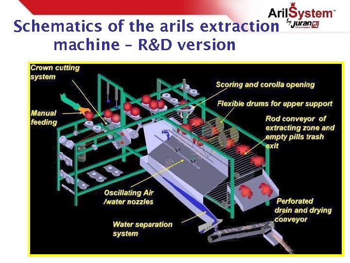 Schematics of the arils extraction machine – R&D version 