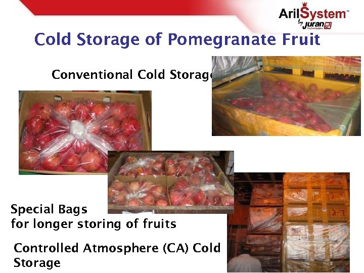 Cold Storage of Pomegranate Fruit Conventional Cold Storage Special Bags for longer storing of