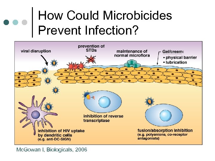 How Could Microbicides Prevent Infection? Mc. Gowan I, Biologicals, 2006 