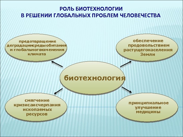 Презентация на тему биотехнология на службе человечества