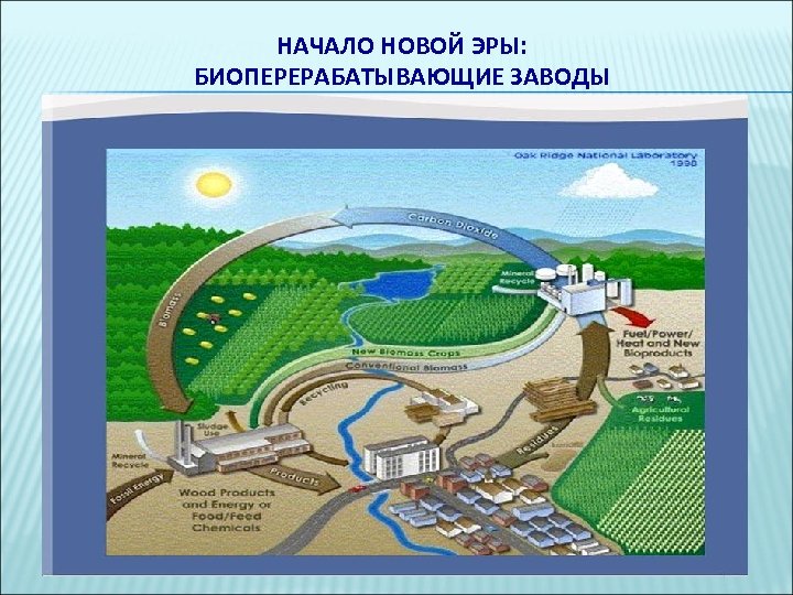 НАЧАЛО НОВОЙ ЭРЫ: БИОПЕРЕРАБАТЫВАЮЩИЕ ЗАВОДЫ 