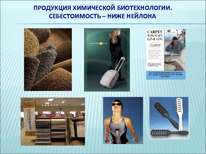 ПРОДУКЦИЯ ХИМИЧЕСКОЙ БИОТЕХНОЛОГИИ. СЕБЕСТОИМОСТЬ – НИЖЕ НЕЙЛОНА 