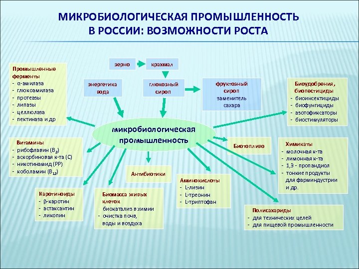 МИКРОБИОЛОГИЧЕСКАЯ ПРОМЫШЛЕННОСТЬ В РОССИИ: ВОЗМОЖНОСТИ РОСТА Промышленные ферменты - α-амилаза - глюкоамилаза - протеазы