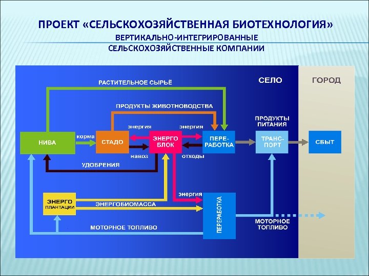 Проекты по биотехнологии