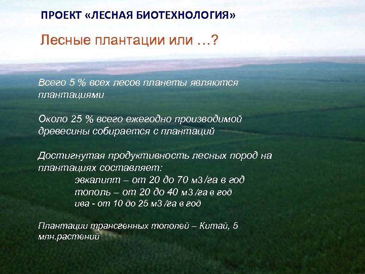 ПРОЕКТ «ЛЕСНАЯ БИОТЕХНОЛОГИЯ» Лесные плантации или …? Всего 5 % всех лесов планеты являются