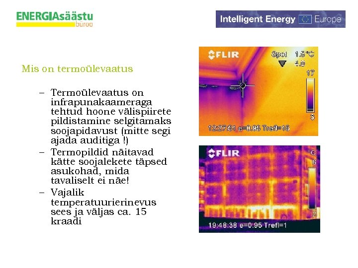 Mis on termoülevaatus – Termoülevaatus on infrapunakaameraga tehtud hoone välispiirete pildistamine selgitamaks soojapidavust (mitte