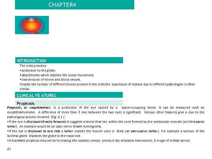 CHAPTER 4 The orbit INTRODUCTION The orbit provides: • protection to the globe; •