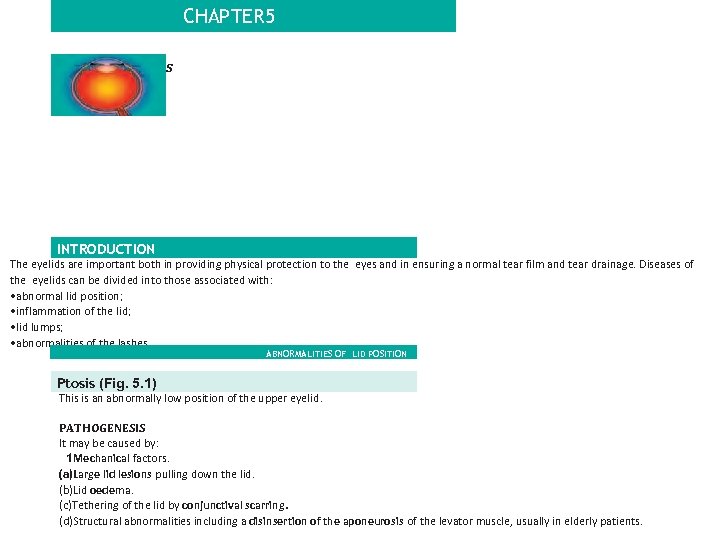 CHAPTER 5 The eyelids INTRODUCTION The eyelids are important both in providing physical protection