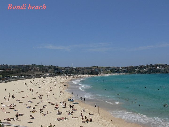 Bondi beach 
