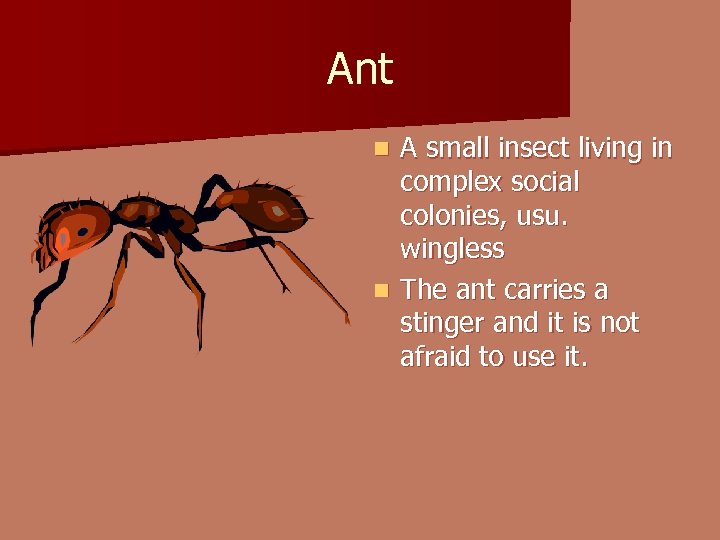 Ant A small insect living in complex social colonies, usu. wingless n The ant