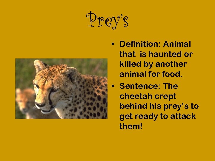 Prey’s • Definition: Animal that is haunted or killed by another animal for food.