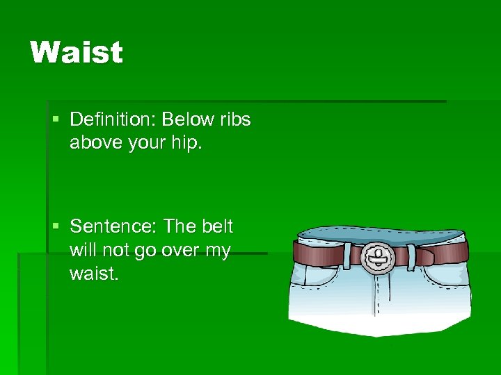 Waist § Definition: Below ribs above your hip. § Sentence: The belt will not