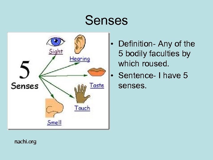 Senses • Definition- Any of the 5 bodily faculties by which roused. • Sentence-