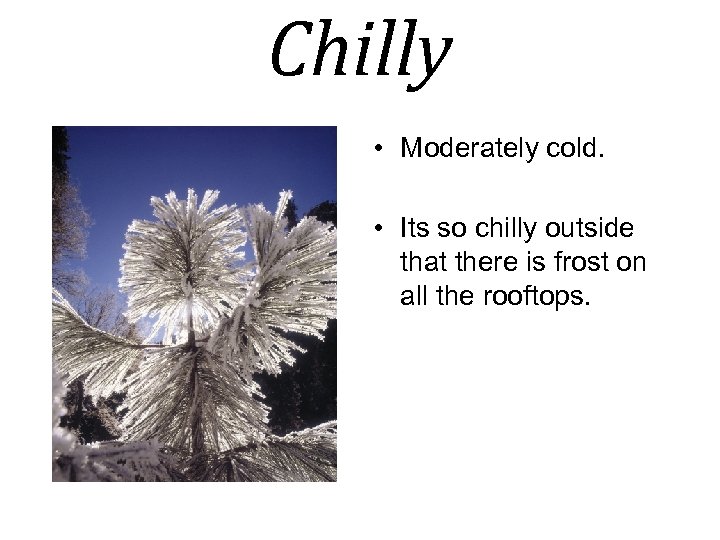 Chilly • Moderately cold. • Its so chilly outside that there is frost on
