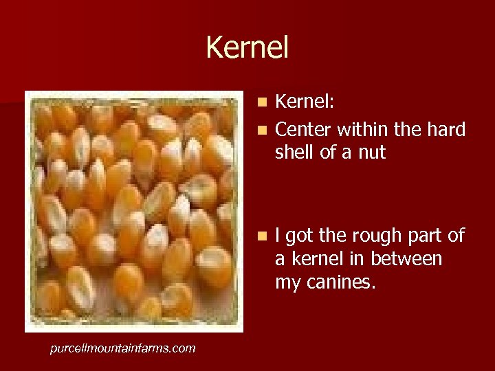 Kernel: n Center within the hard shell of a nut n n purcellmountainfarms. com