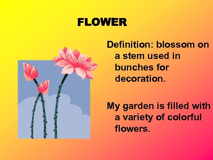 Definition: blossom on a stem used in bunches for decoration. My garden is filled