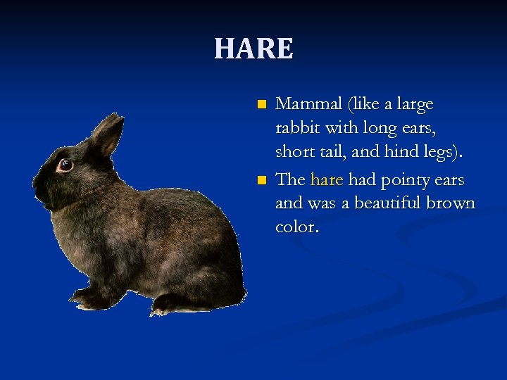 HARE n n Mammal (like a large rabbit with long ears, short tail, and