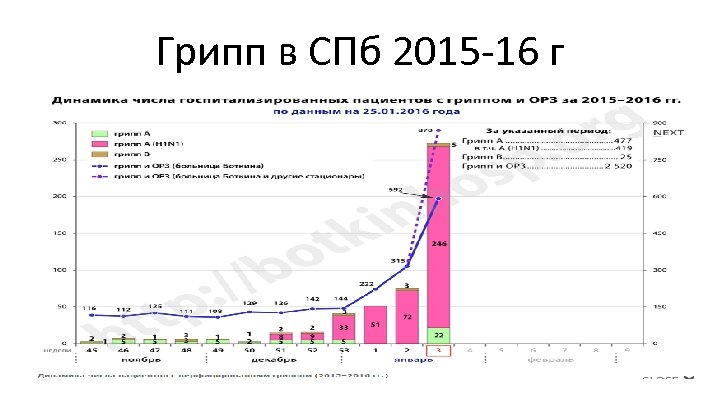 Грипп в СПб 2015 -16 г 