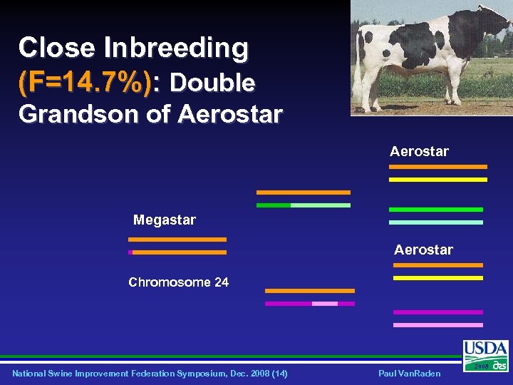 Close Inbreeding (F=14. 7%): Double Grandson of Aerostar Megastar Aerostar Chromosome 24 National Swine