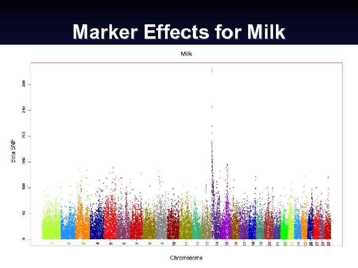 Marker Effects for Milk National Swine Improvement Federation Symposium, Dec. 2008 (30) Paul Van.