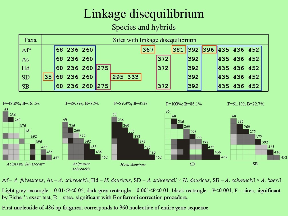 Linkage disequilibrium Species and hybrids Taxa Af* As Hd SD SB Sites with linkage