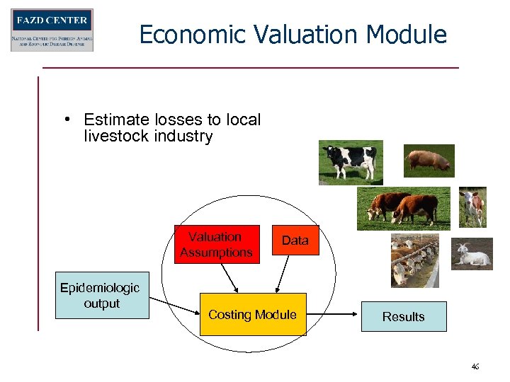 Economic Valuation Module • Estimate losses to local livestock industry Valuation Assumptions Epidemiologic output