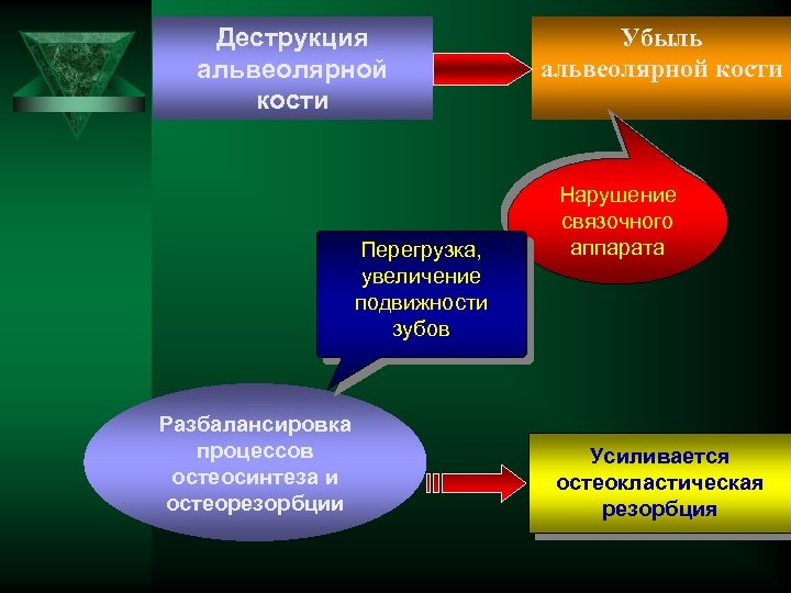 Деструкция альвеолярной кости Перегрузка, увеличение подвижности зубов Разбалансировка процессов остеосинтеза и остеорезорбции Убыль альвеолярной